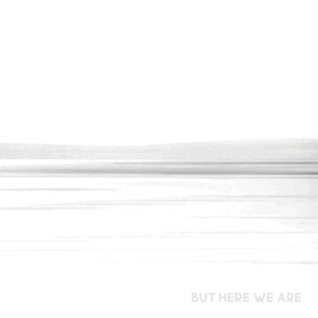 Das neue Album der FooFighters hier im Review: Foo Fighters: But Here We Are – Album Review